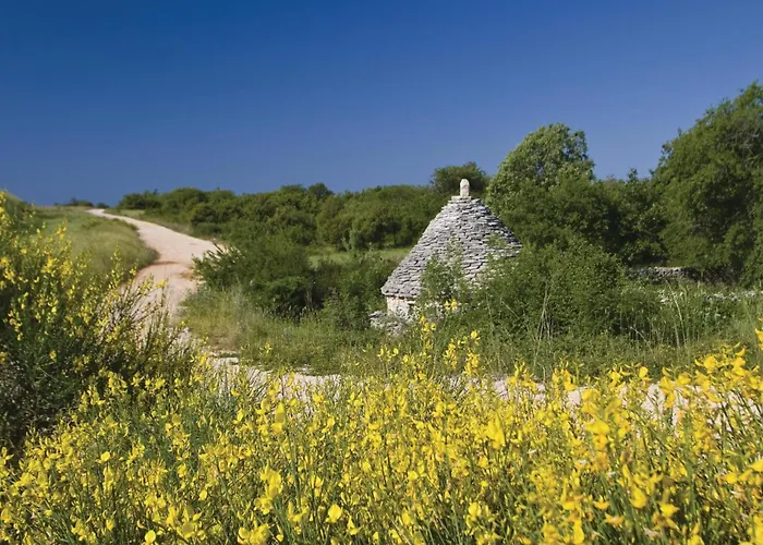 Beautiful In Barban-sajini Šajini