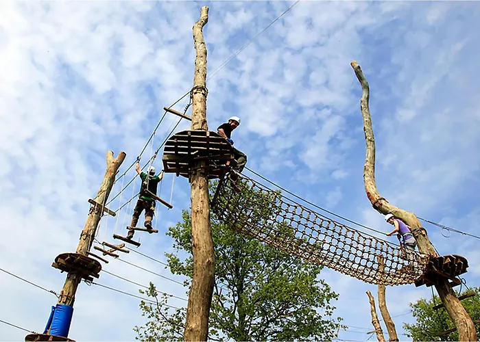 Beautiful In Barban-sajini * Šajini